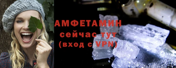 шишки Рославль