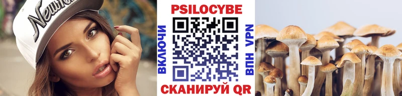 Галлюциногенные грибы мухоморы площадка наркотические препараты Нерюнгри