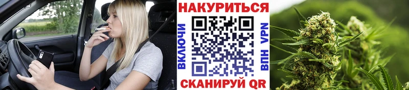 kraken сайт  Нерюнгри  Каннабис индика 
